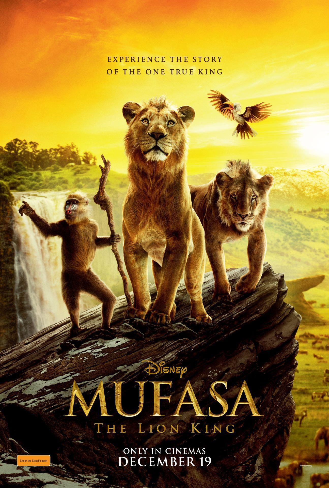Films in cinema now hotsell