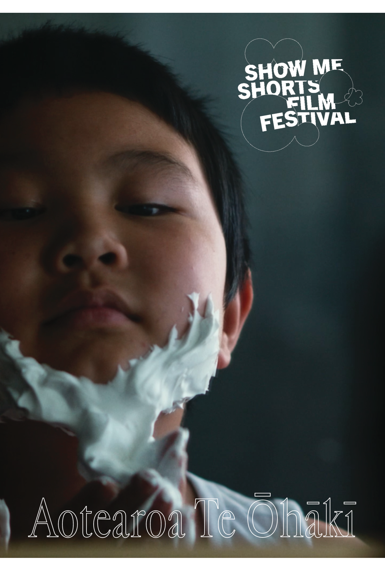 Poster for film
