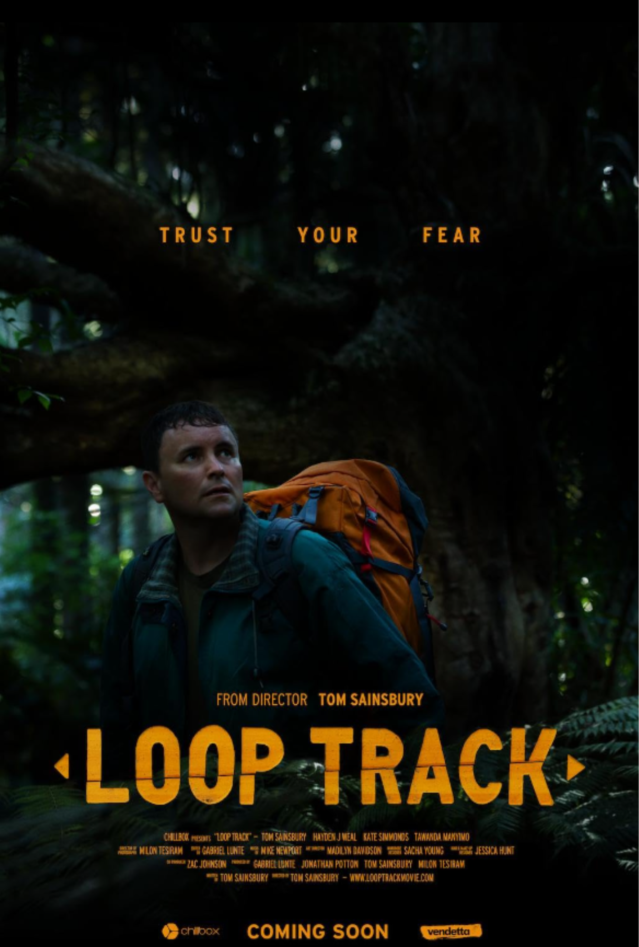 Poster for film