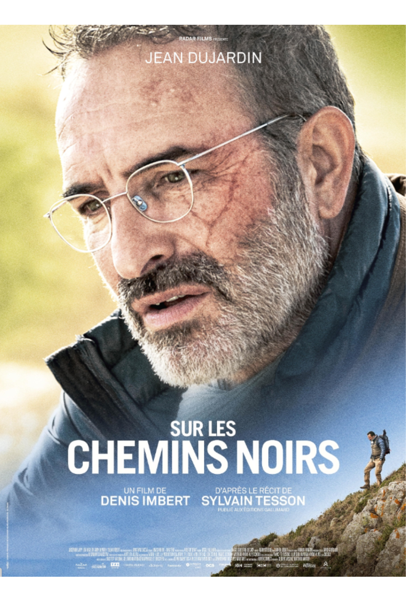 Poster for film