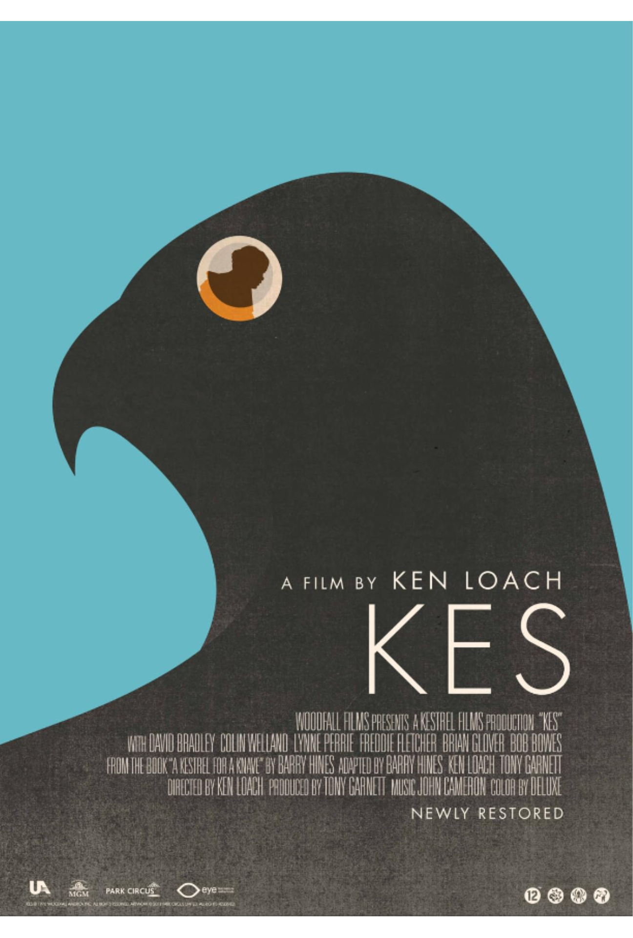 Poster for film