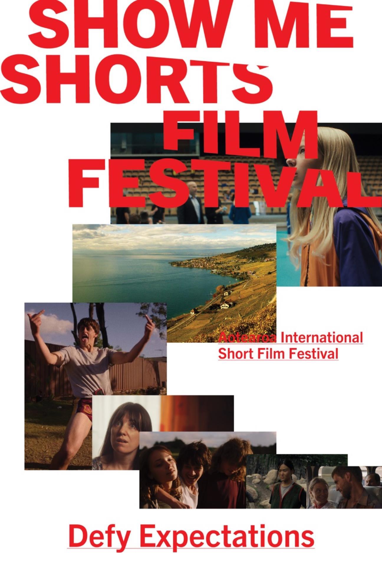 Poster for film