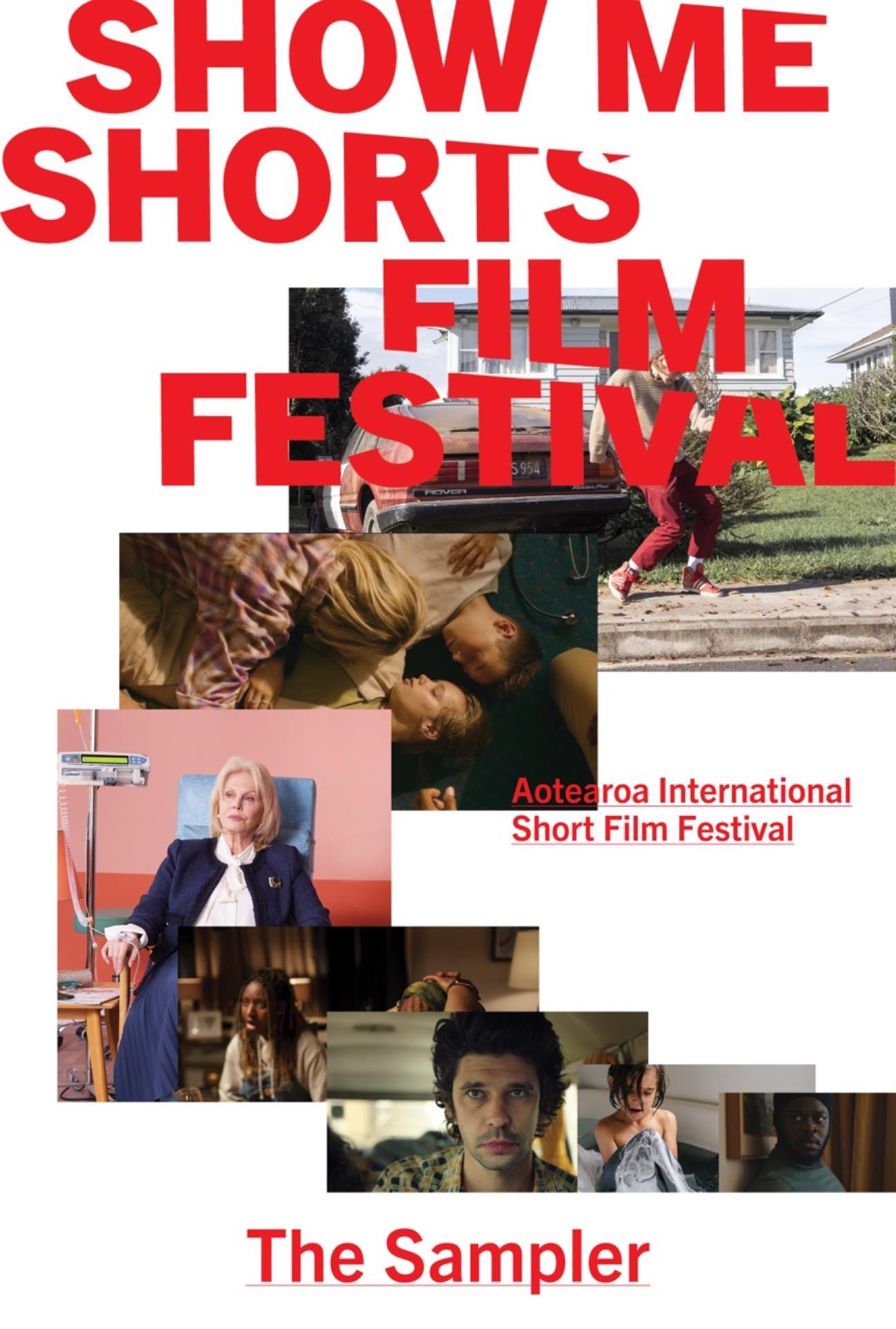 Poster for film