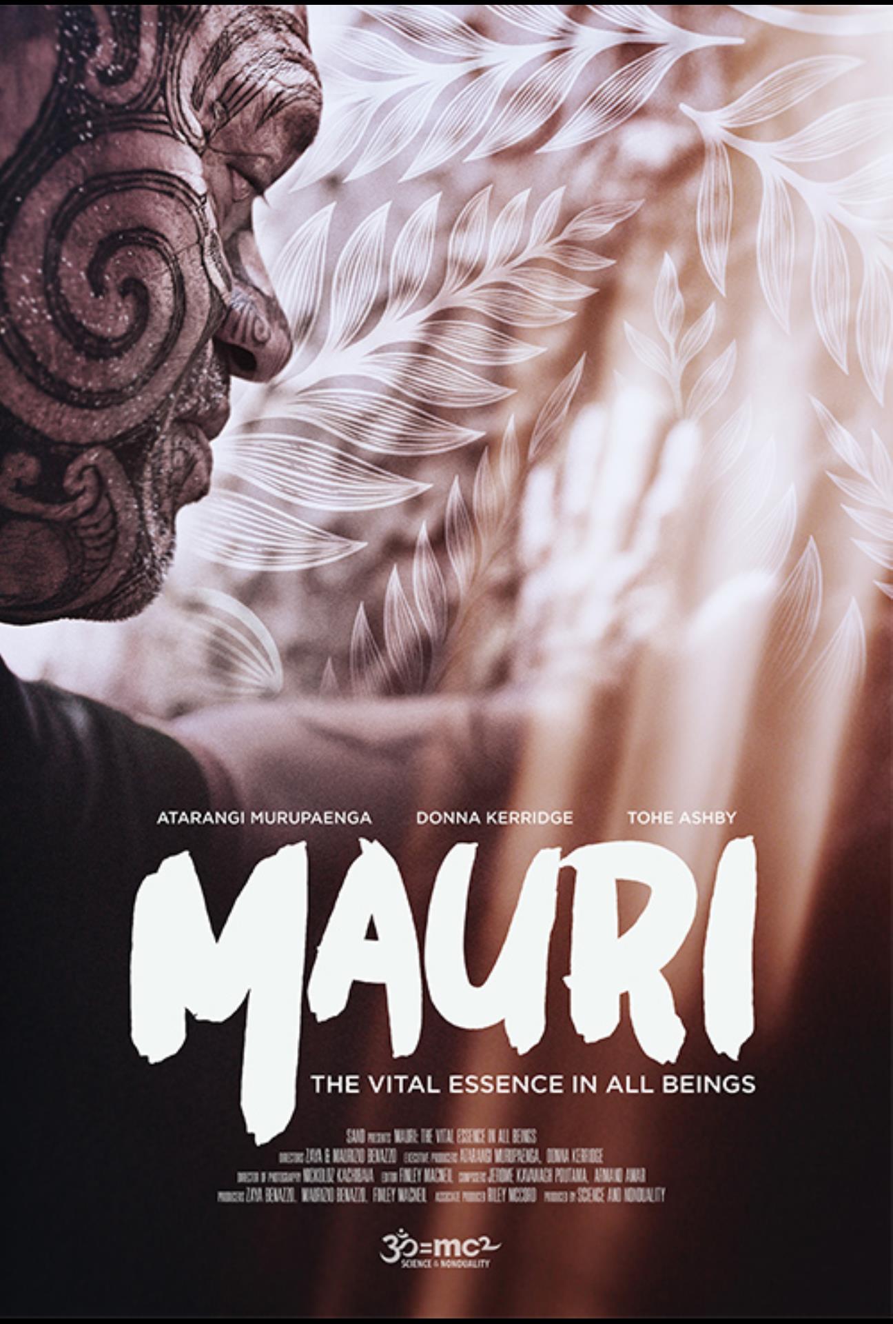 Poster for film