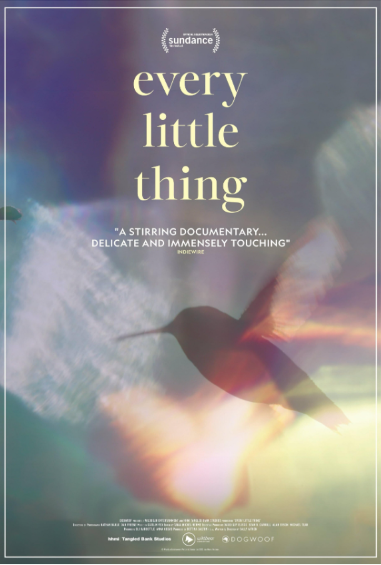 Poster for film