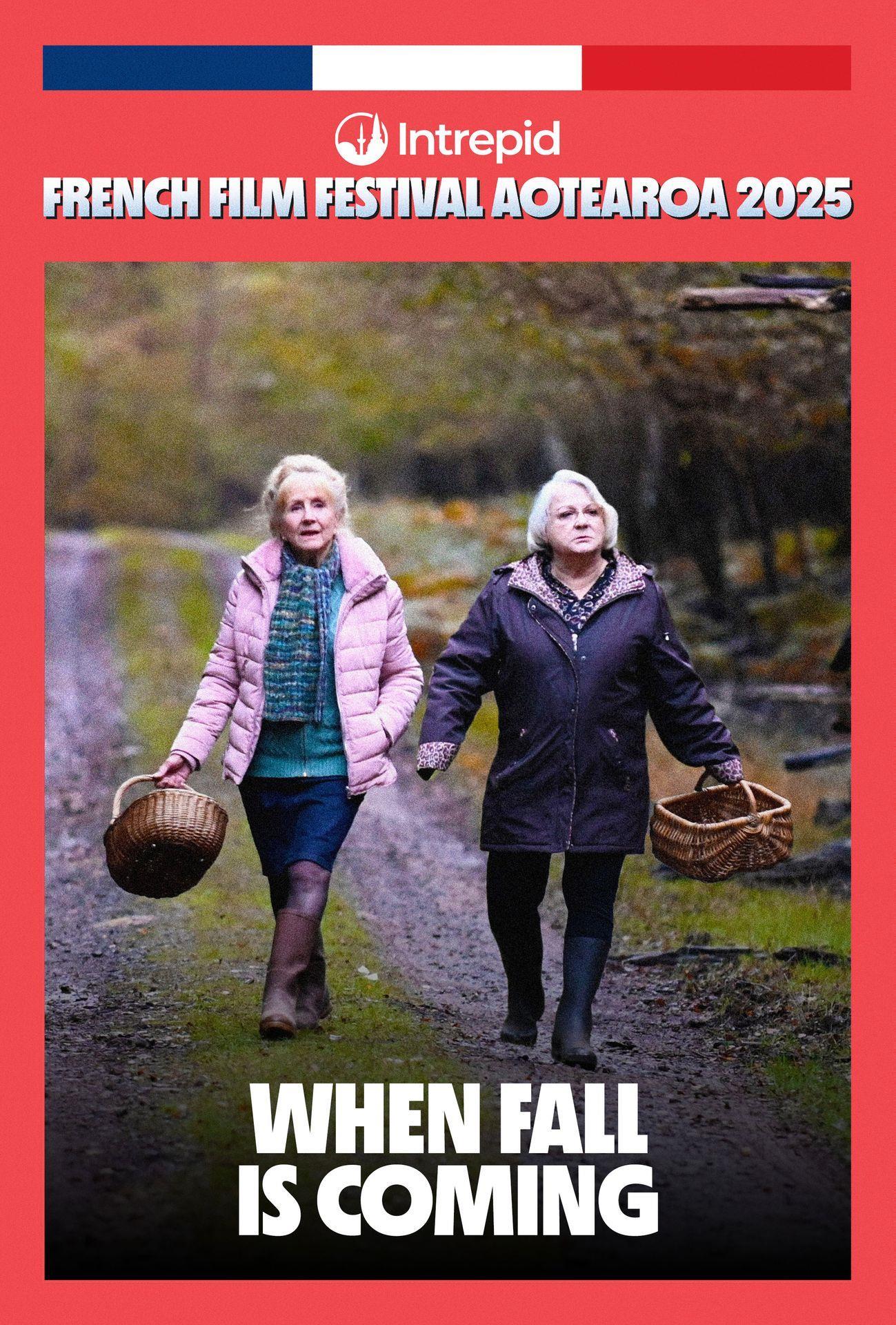 Film poster