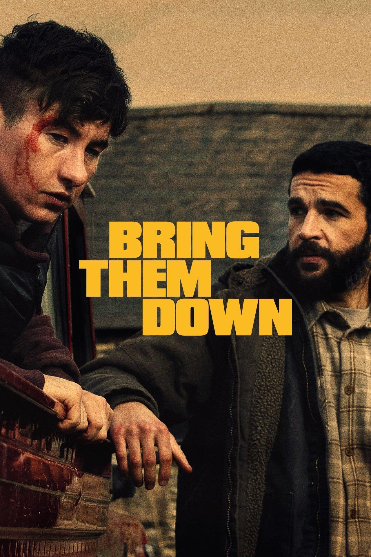Film poster