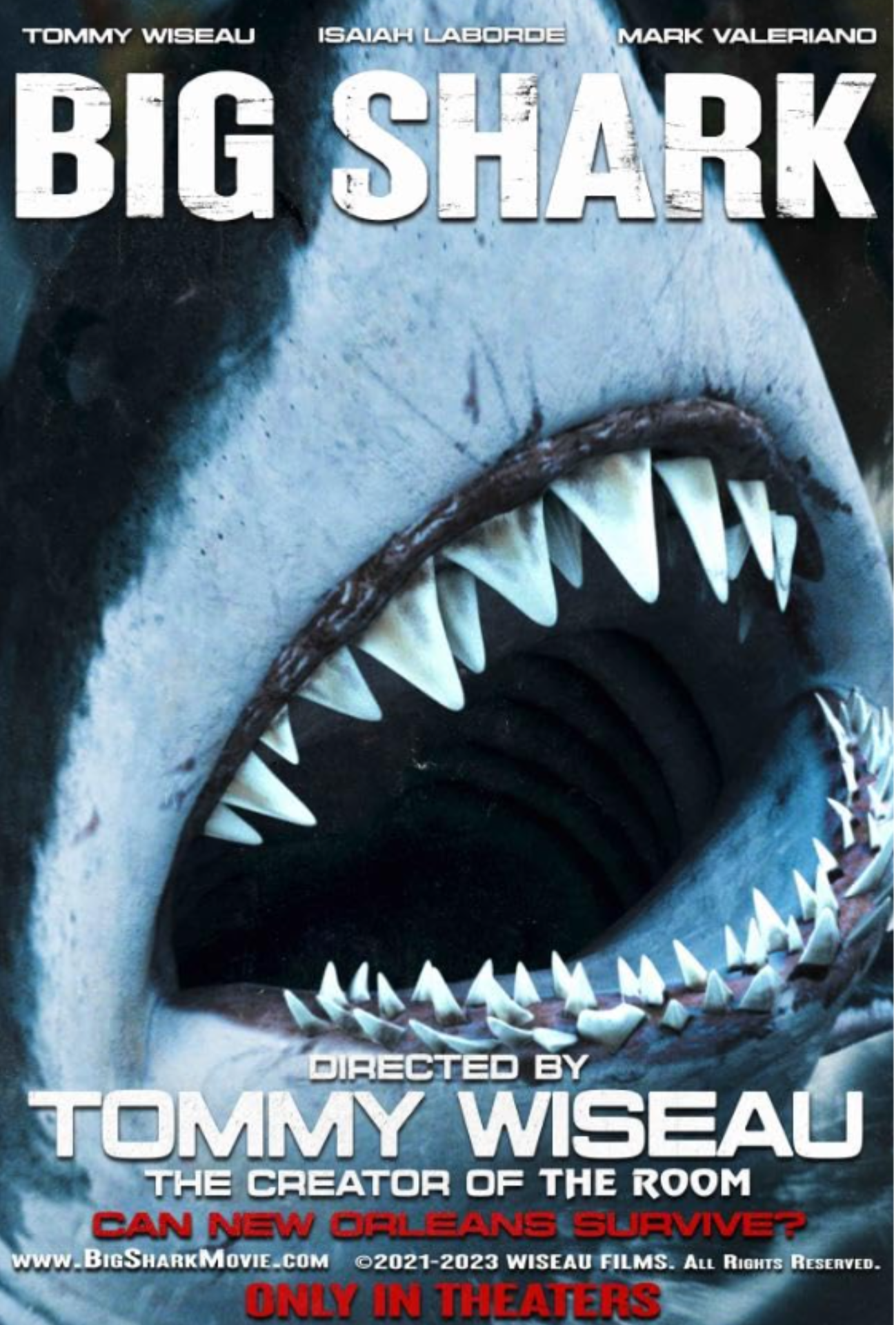 Film poster