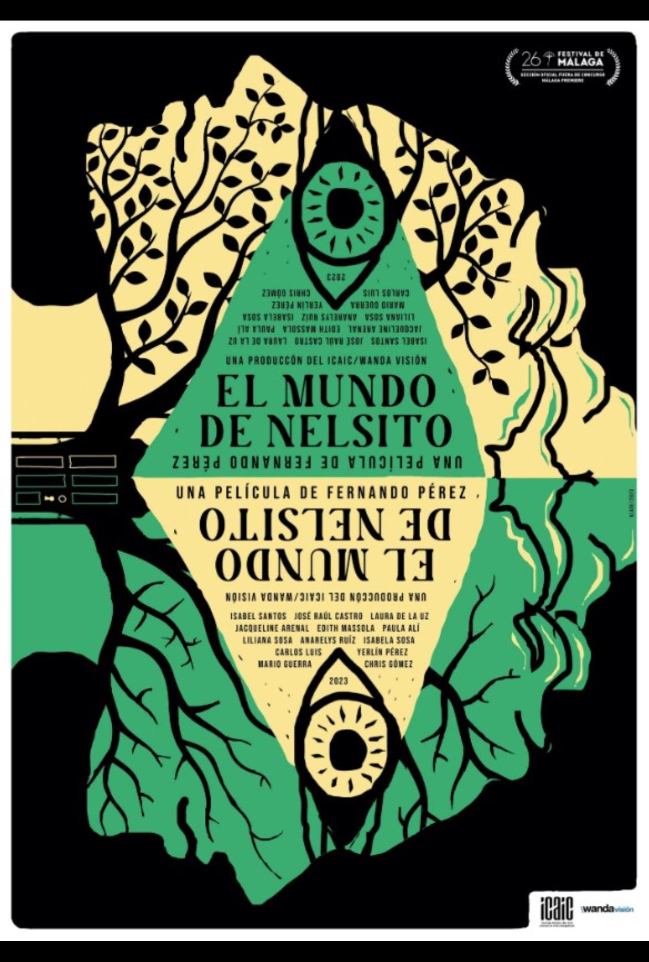 Poster for film