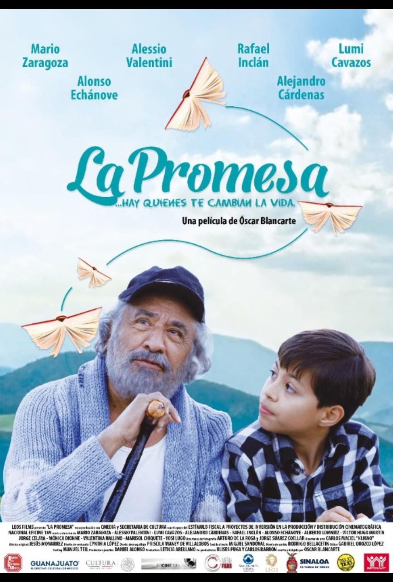 Film poster