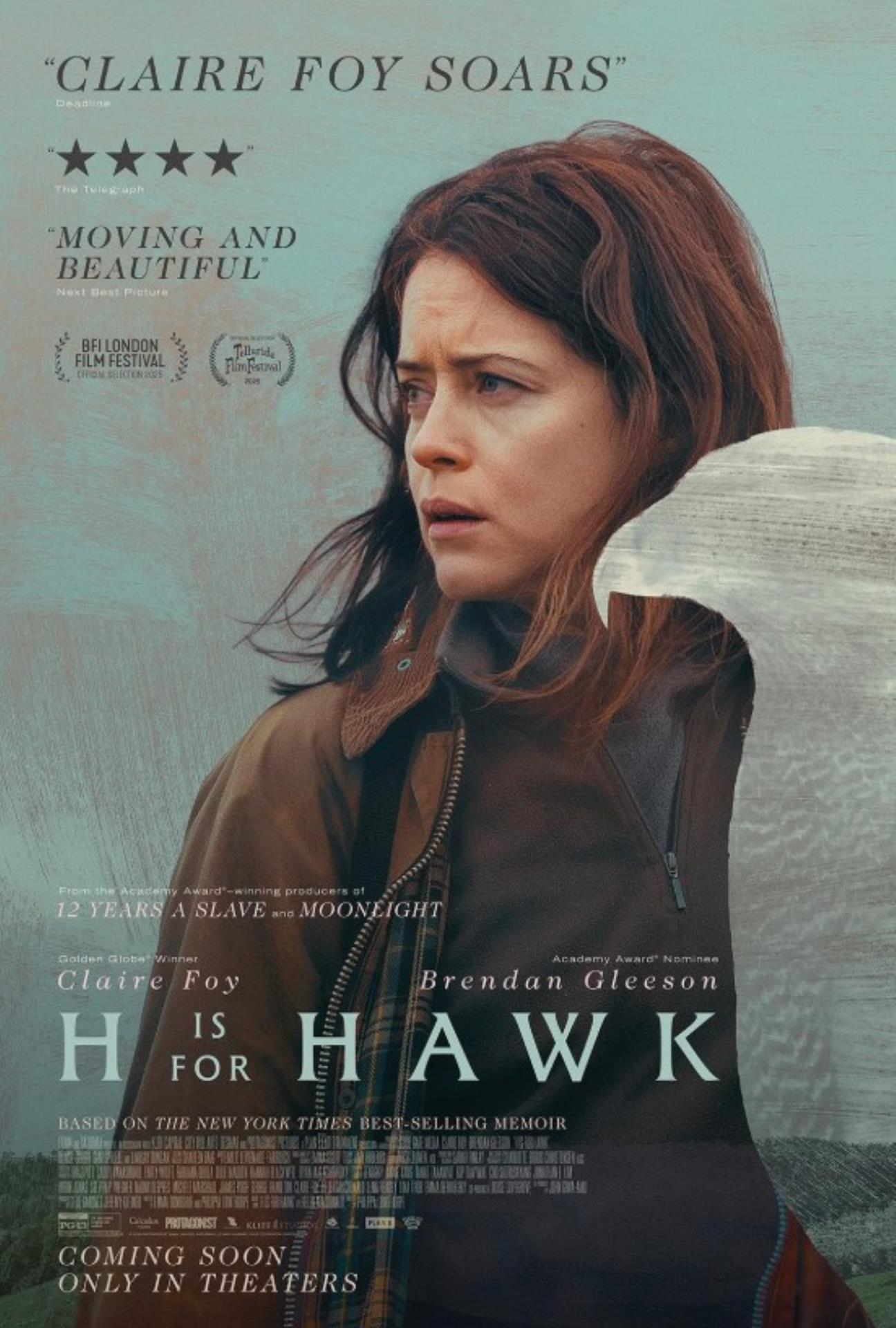 Film poster