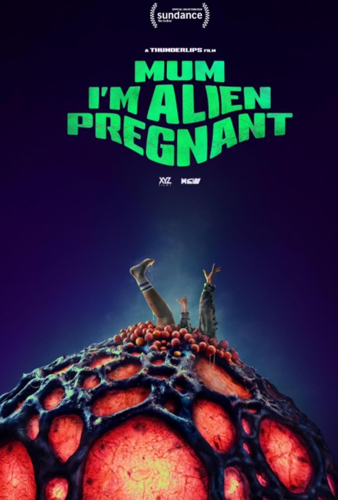 Film poster
